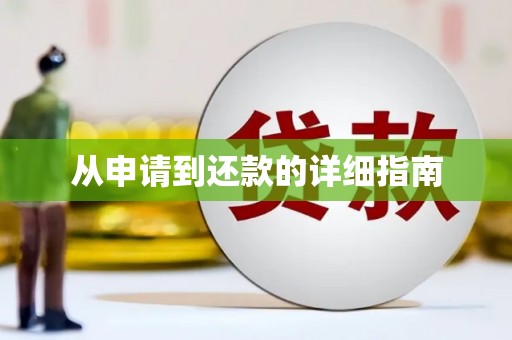 延津从申请到还款的详细指南