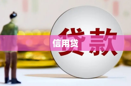 海兴信用贷