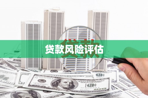 坊子贷款风险评估