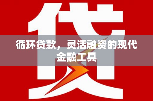 南皮循环贷款，灵活融资的现代金融工具