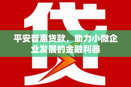 福鼎平安普惠贷款，助力小微企业发展的金融利器
