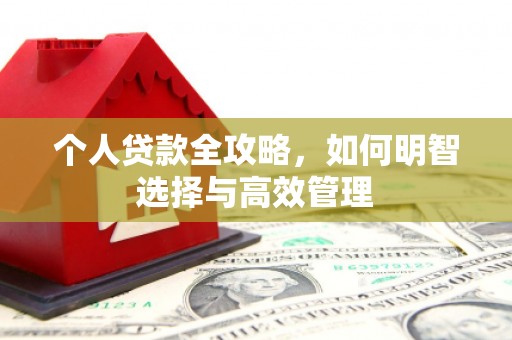 多伦个人贷款全攻略，如何明智选择与高效管理