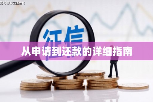 板桥从申请到还款的详细指南