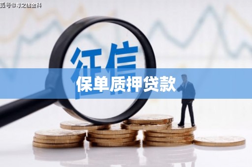 和田保单质押贷款