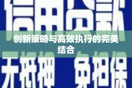 新蔡创新策略与高效执行的完美结合