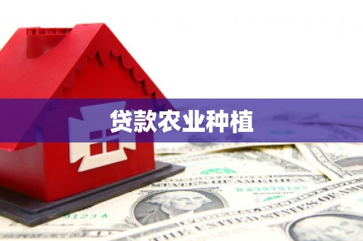 合山贷款农业种植