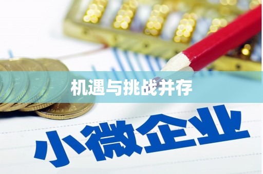 麻江机遇与挑战并存