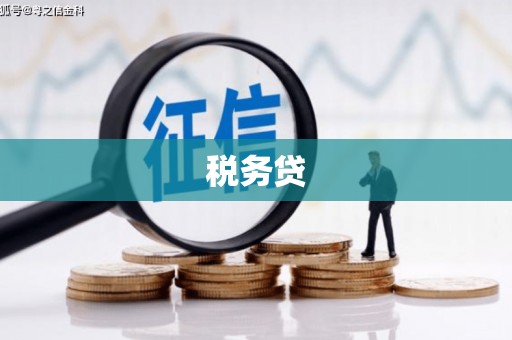 三亚税务贷